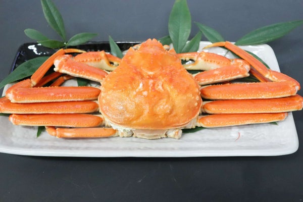 ブランド牛・カニ刺し・活けアワビ・うなぎ!4つの高級グルメも食す!新春♪旅の福袋ミステリーツアー【三日市・河内長野・富田林・藤井寺発】2